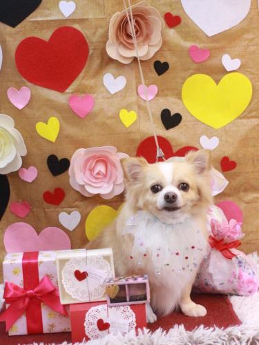 20230209マロ太くん